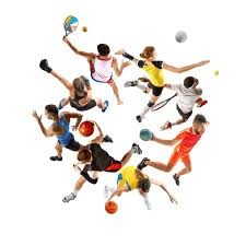 坦帕湾光芒队因飓风破坏，宣布 2026 年前将暂时借用奥兰多的小联盟球场